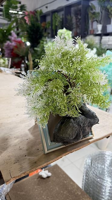 dekor dasi: Dekorativ mini “bonsai” kompozisiyası - Material: süni bitki — 3