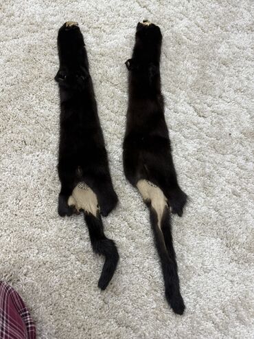 декоративные кролик: Норка. Шкуры меховые (2шт) Цельные. Подойдут на шапку или воротник