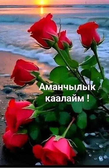 Цветы и букеты: Биздин уборка таза жана сапаттуу.Баасы келишим баада.7 -жылдык — 1