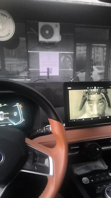 BYD: BYD E2: 2021 г., Автомат, Электромобиль, Хэтчбэк — 14