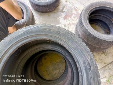 шины зима r16: Шины 215 / 55 / R 17, Зима, Комплект, Легковые, Dunlop