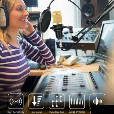 Mikrofoni: Studijski Kondenzatorski Mikrofon BM800 +stalak+pop filter Na — 3
