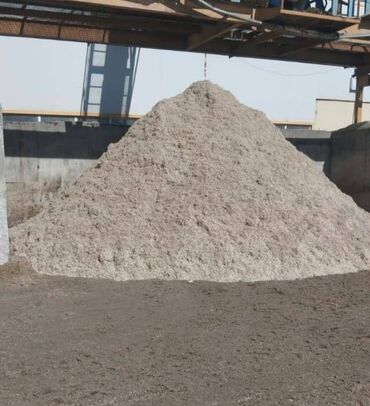 Коровы, быки: Çuğundur küspəsi yüksək qidalılığa malik, mal-qaranın süd və ət