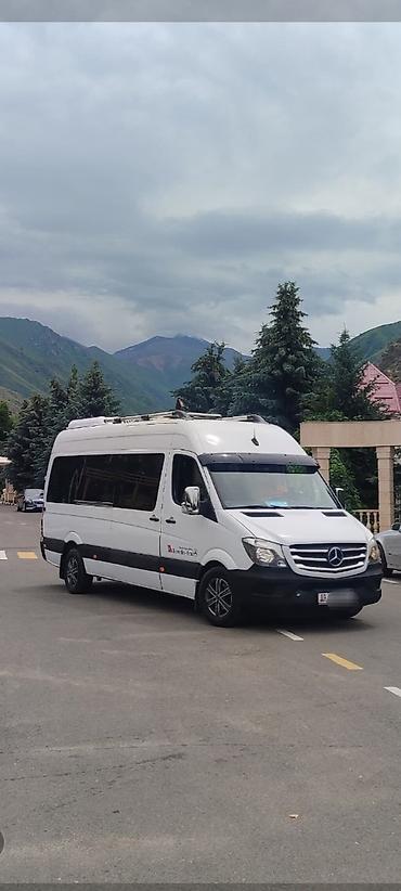 w210 e320: Пассажирский микроавтобус Mercedes-Benz Sprinter — люксовая — 4