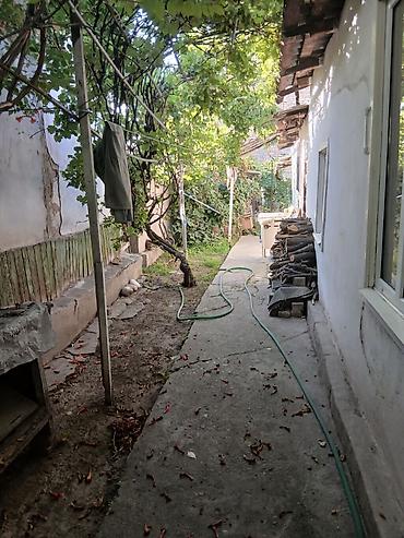 Дома: 🏡 Продаётся частный дом с участком 📍 Район: Пишпек 🏠 Количество — 5