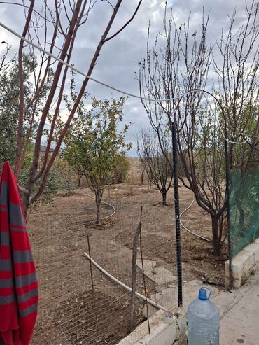 Köhnə tikili: Sumqayit yaşma baglari Otaqların sayI.2.otaqli Saha (m2): 6 Torpaq -da lalafo.az — 9 Köhnə tikili: Sumqayit yaşma baglari Otaqların sayI.2.otaqli Saha (m2): 6 Torpaq — 9