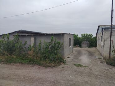 Sex, zavod və fabriklər: Ferma/təsərrüfat kompleksi - Uzunluğu boyunca tikilmiş, beton divarlı — 6