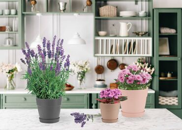 Горшки для растений: Горшок для цветов с фиксируемым поддоном InGreen коллекция Villa de