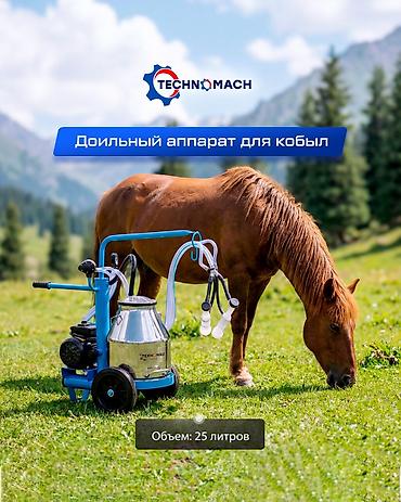 животноводство: Доильный аппарат Для кобыл TECHNOMACH от компании ТЕХНОМАШ!!! Что — 1
