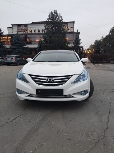 Hyundai: Hyundai Sonata: 2010 г., 2 л, Типтроник, Газ, Седан