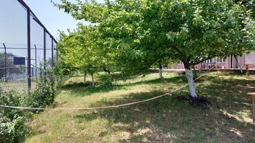 Bağ evlərinin kirayəsi: 200 kv. m, 5 otaqlı, Hovuzlu, Telefon, İnternet, İşıq -da lalafo.az — 14 Bağ evlərinin kirayəsi: 200 kv. m, 5 otaqlı, Hovuzlu, Telefon, İnternet, İşıq — 14