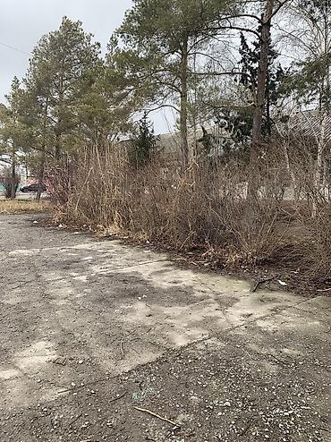 Продажа участков: 11 соток, Для бизнеса, Красная книга, Тех паспорт — 15