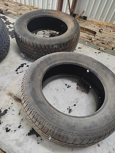 Шины: 1200с каждый — 6