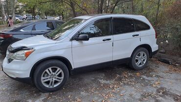 Honda: Honda CR-V: 2010 г., 2.4 л, Автомат, Бензин, Кроссовер