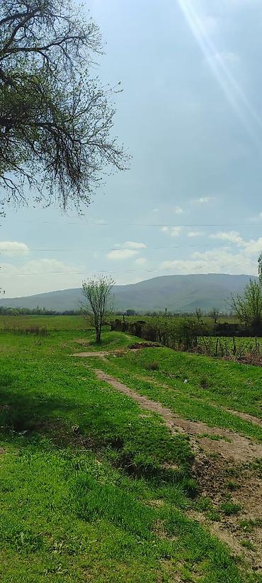 Продажа участков: 10 соток, Для строительства, Красная книга — 8