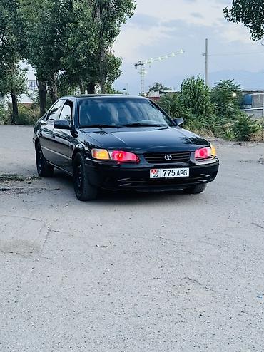 на камри 20: Toyota Camry: 1999 г., 2.2 л, Автомат, Бензин, Седан — 1