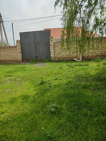 Torpaq sahələrinin satışı: 10 sot, Tikinti, Mülkiyyətçi, Bələdiyyə — 2