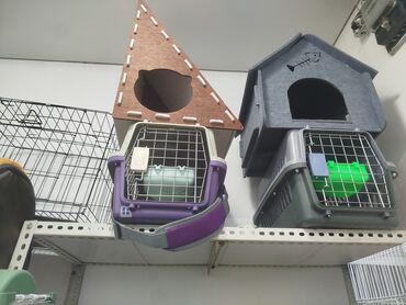 Аквариумы: Предлагается набор маленьких красноухих черепах. Эти черепахи отлично — 7