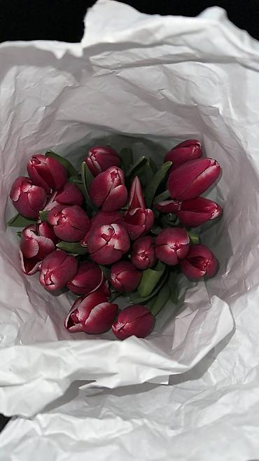 Букеты из живых цветов: Букеты тюльпанов - Срезанные тюльпаны в крафтовой и белой бумаге — 7