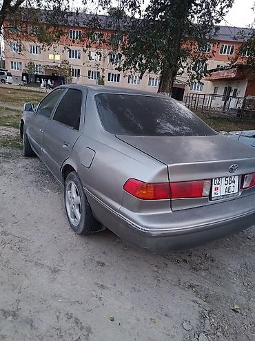 тойота минивен купить: Toyota Camry: 2000 г., 2.2 л, Автомат, Бензин, Седан — 8