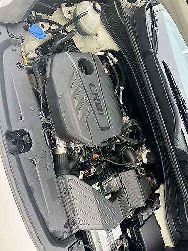 daewoo matiz 1: Kia Sportage: 2018 г., 1.6 л, Дизель, Кроссовер — 1