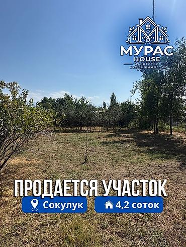 верона южный: 4 соток — 1