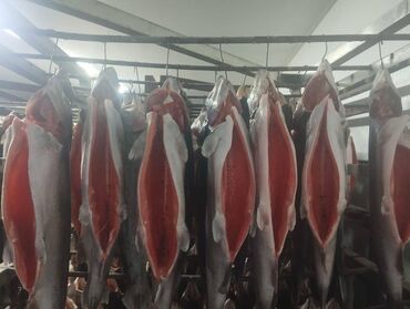 Рыба и морепродукты: Замороженный, До 1 кг, Самовывоз, Бесплатная доставка, Платная доставка at lalafo.kg — 5 Рыба и морепродукты: Замороженный, До 1 кг, Самовывоз, Бесплатная доставка, Платная доставка — 5