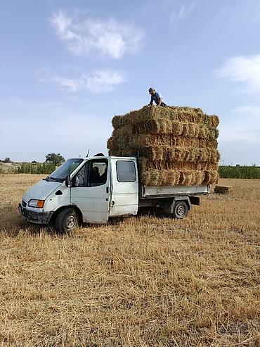 запчасти х5g05: Ford Transit: 2000 г., 2.5 л, Дизель — 4