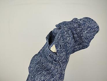 outlet kurtki: Hollister, Bluza z kapturem damska, rozmiar S — 5