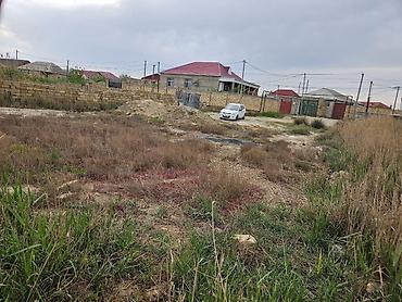 nzs de satilan evler: 6 sot, Mülkiyyətçi, Kupça (Çıxarış) — 2