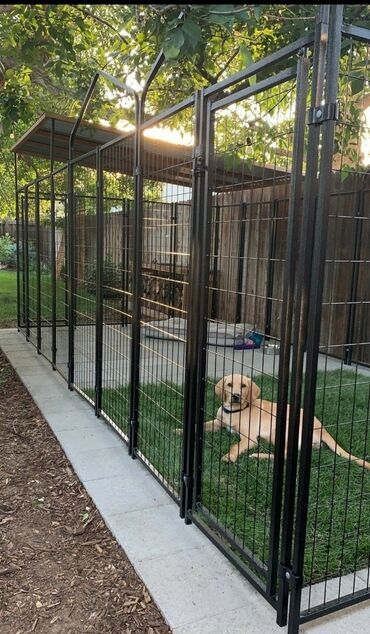 İtlər: Itlər ve diger ev heyvanlari ucun yuvalar unvanda yigilir. Ve ya — 4