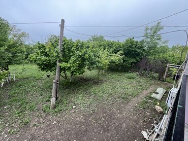 Torpaq sahələrinin satışı: 7 sot, Tikinti, Mülkiyyətçi, Kupça (Çıxarış) -da lalafo.az — 5 Torpaq sahələrinin satışı: 7 sot, Tikinti, Mülkiyyətçi, Kupça (Çıxarış) — 5