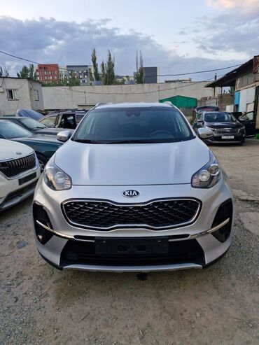 опель вектора с: Kia Sportage: 2019 г., 2 л, Автоматтык, Дизель, Кроссовер
