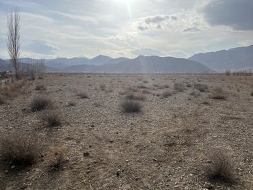 Продажа участков: 600 соток, Для сельского хозяйства, Красная книга, Тех паспорт, Договор купли-продажи — 6