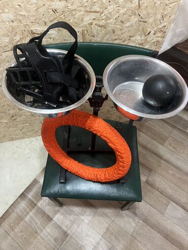 молочные оборудование: Подставка для кормления крупных собак, игрушки, намордник - всё за at lalafo.kg молочные оборудование: Подставка для кормления крупных собак, игрушки, намордник - всё за