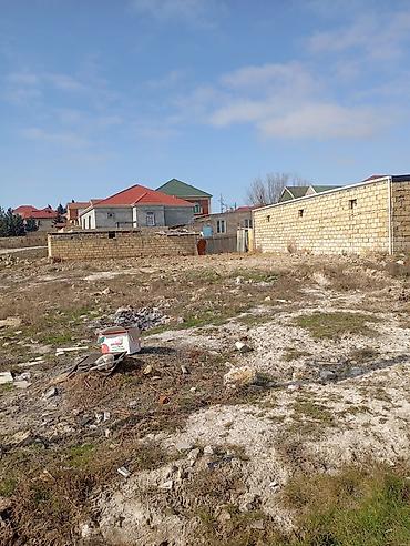 ha: 3 sot, Kənd təsərrüfatı, Kupça (Çıxarış) — 10