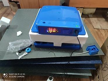 Kənd təssərüfatı avadanlığı: Inkubator inqibator inkibator inqubator incubator Ən Yeni Expert model — 3