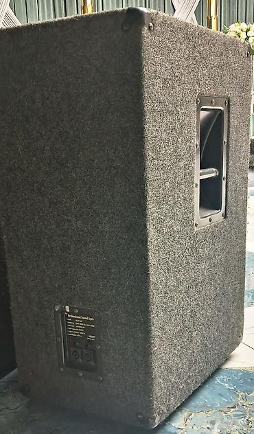Dinamiklər və kolonkalar: Electro-Voice (EV) passiv səsgücləndirici akustika – 2 ədəd - Brend — 7