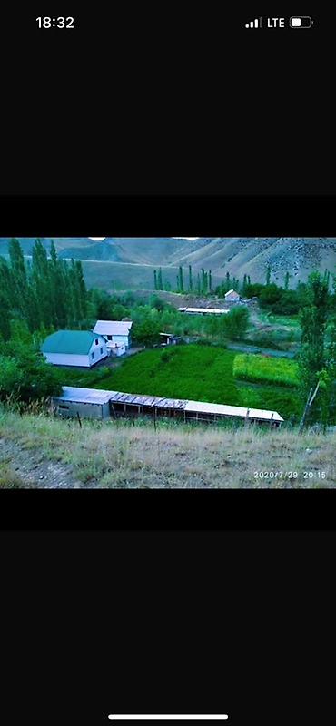 Продажа участков: 60 соток — 1