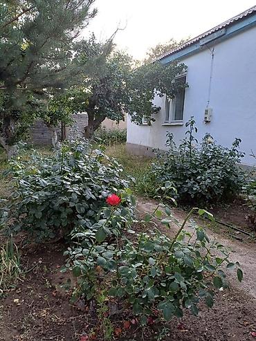 Продажа коттеджей и домов: Дом на Иссык-Куле!!! Продается просторный дом на участке 36 сотых at lalafo.kg — 25 Продажа коттеджей и домов: Дом на Иссык-Куле!!! Продается просторный дом на участке 36 сотых — 25