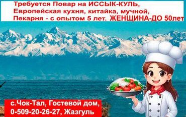 Повара: Требуется Повар : Универсал, Европейская кухня, Более 5 лет опыта