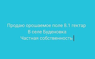 Жер тилкелери: 8100 соток, Айыл чарба үчүн, Кызыл китеп, Сатып алуу-сатуу келишими — 1