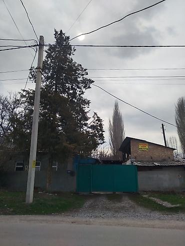 Продажа коттеджей и домов: Продается дом в г. Кара балта 17,5 соток. Мы посадили осенью новый — 4