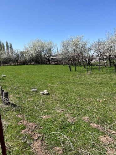 Продажа участков: 10 соток, Для строительства, Красная книга at lalafo.kg — 2 Продажа участков: 10 соток, Для строительства, Красная книга — 2