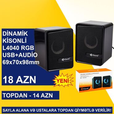 Səs gücləndiriciləri: Yeni Kolonka, Növ - Kompüter üçün