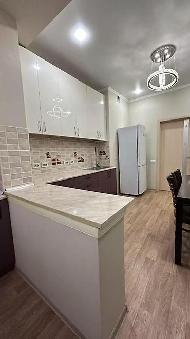 фурманова 10: 1 комната, 40 м², 10 мкр Элитка, 4 этаж, Евроремонт — 1