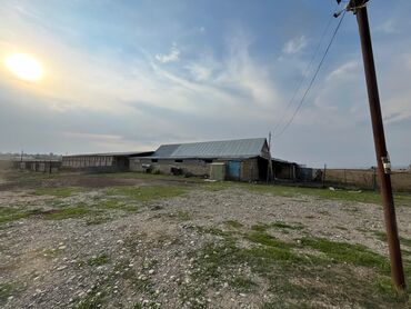 Torpaq sahələrinin satışı: Kənd təsərrüfatı — 19