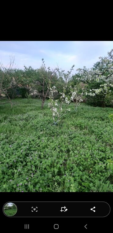 sarayda torpaq alqı satqı: 13 sot, Tikinti, Mülkiyyətçi, Kupça (Çıxarış)