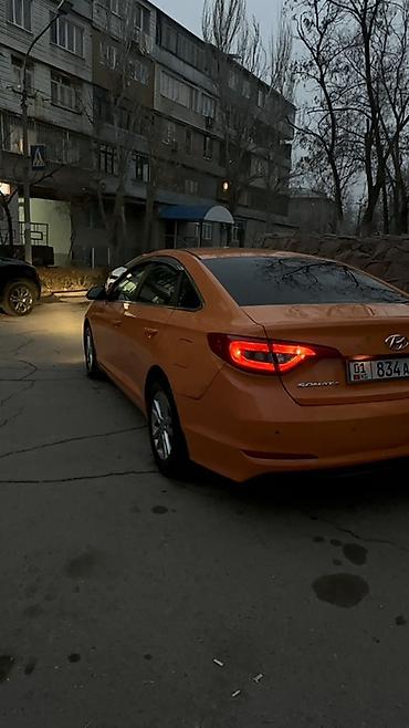 оранжевая соната: Hyundai Sonata: 2018 г., 2 л, Автомат, Газ, Седан — 1