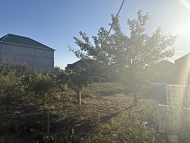 bina az mingecevir: 10 sot, Tikinti, Barter mümkündür, Müqavilə — 7
